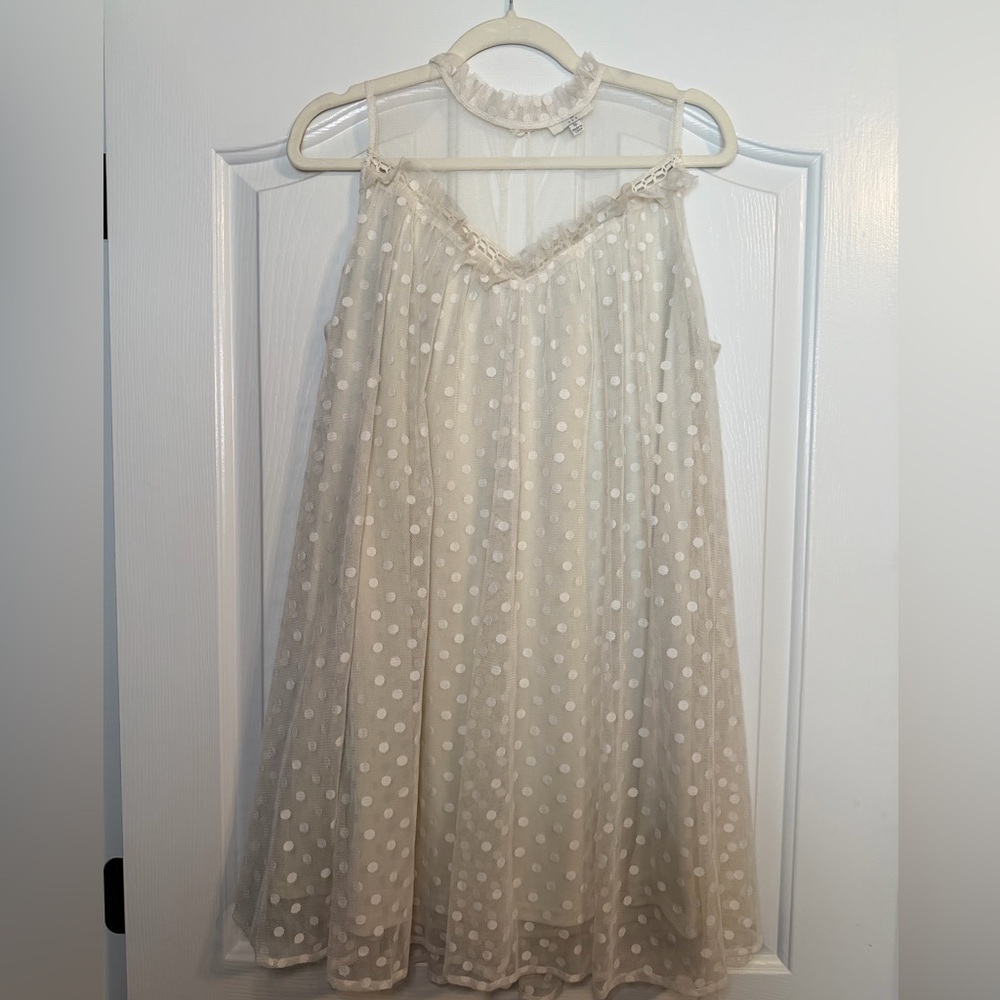 Umgee Cream Sheer Mesh Dress